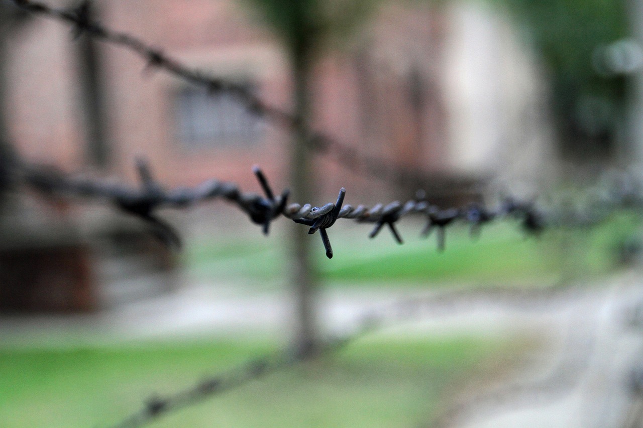 Descubriendo el Lugar de Horror de Auschwitz