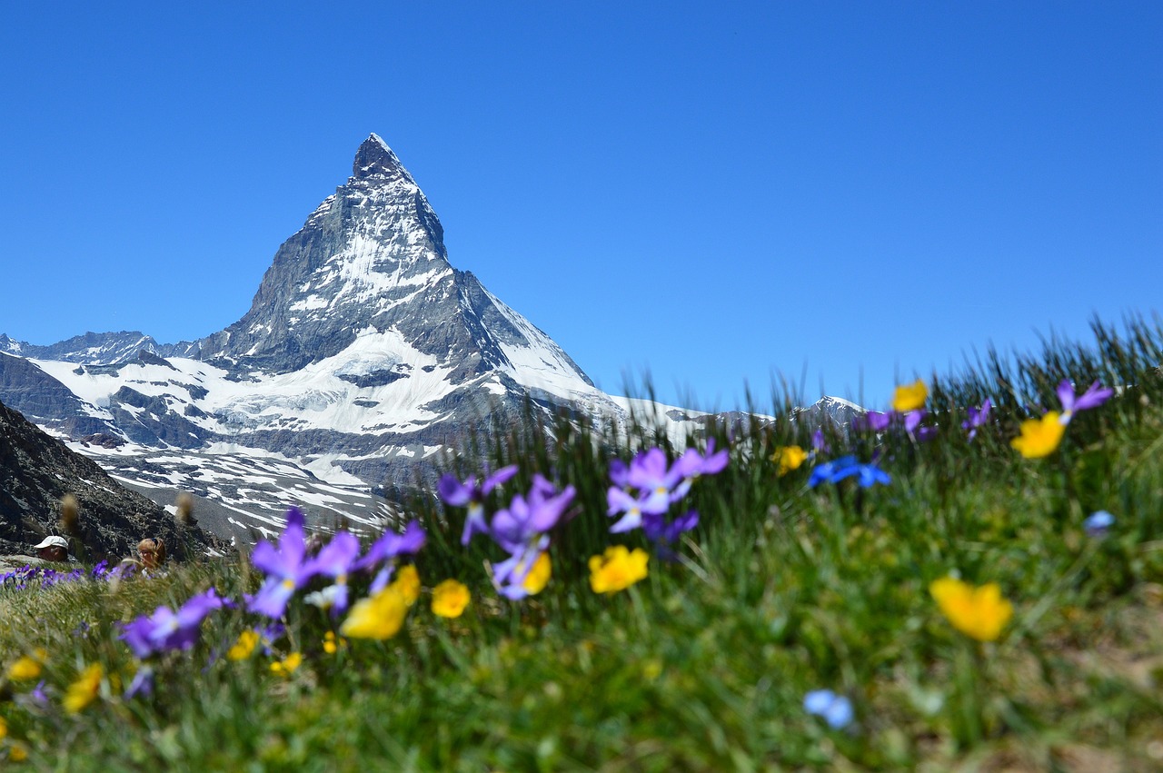 ruta suiza dia