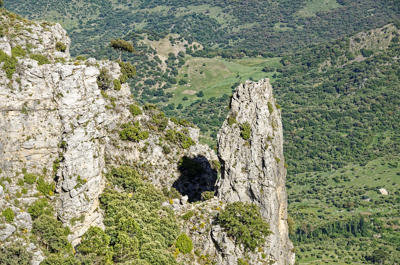 Explorando la Provincia de Cádiz: ¿Qué No Te Puedes Perder?