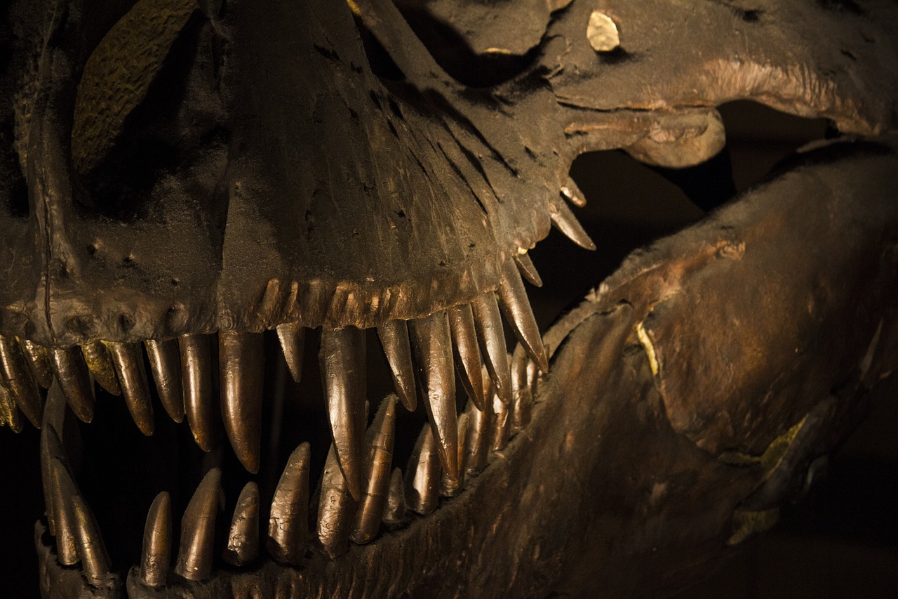 Explorando el Museo de Historia Natural de Londres: ¿Cuánto Tiempo se Necesita?