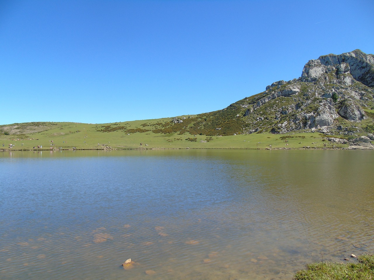 Visita a los Lagos de Covadonga: ¿Cuándo subir en coche?