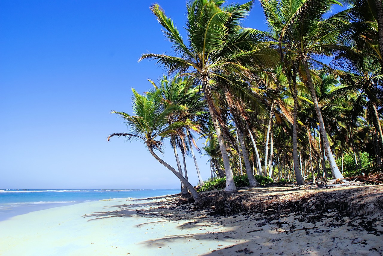 intermitente convertible Ventana mundial Vale la Pena Visitar Punta Cana en Agosto? | TravelHolics