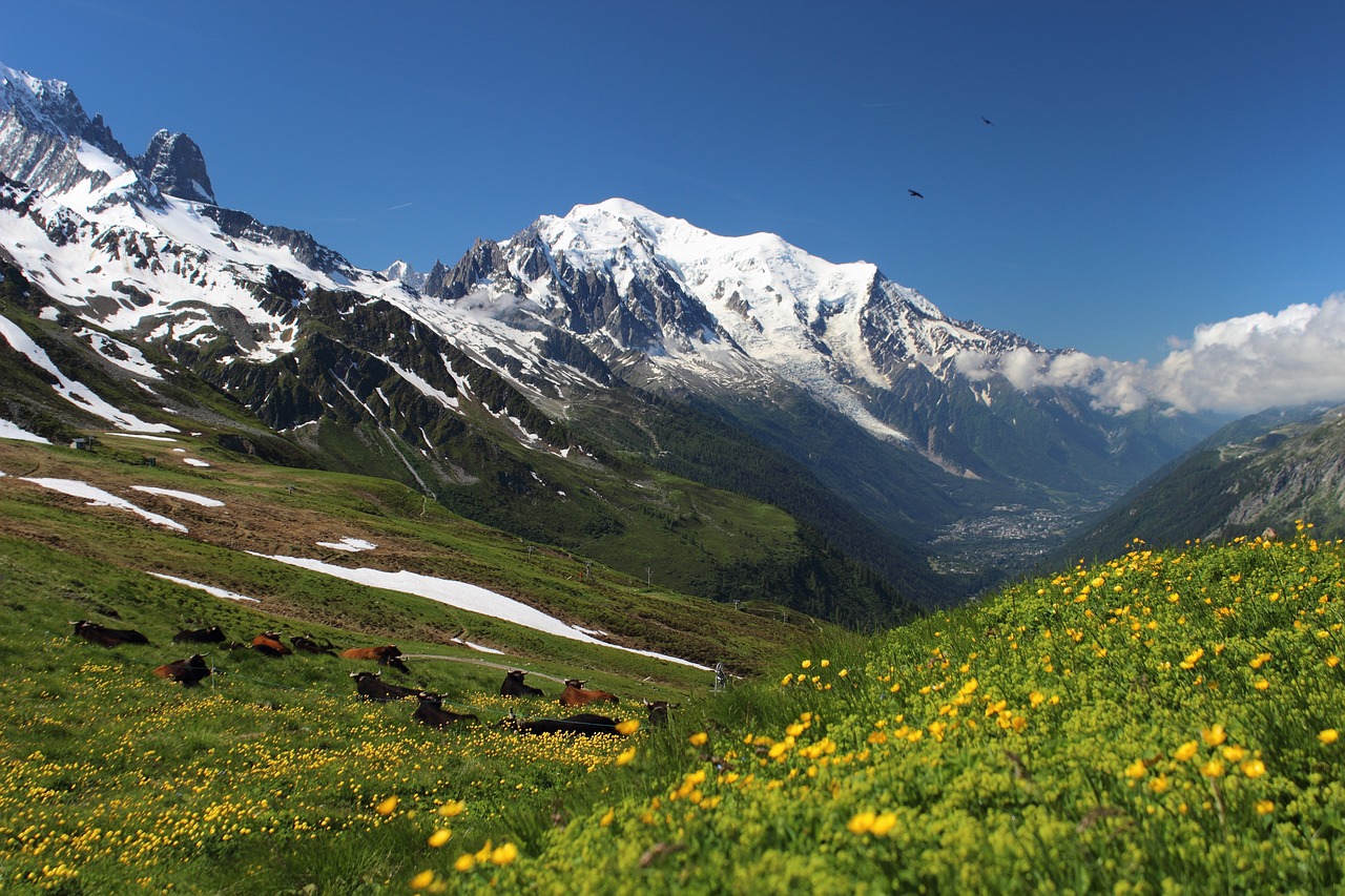 Descubriendo la ubicación del Mont Blanc