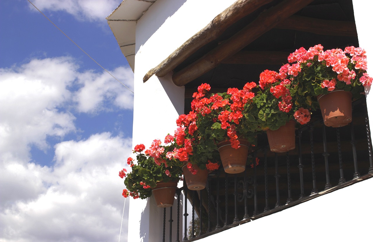 Descubriendo la belleza de la Alpujarra: ¡Explorando el pueblo más bonito!