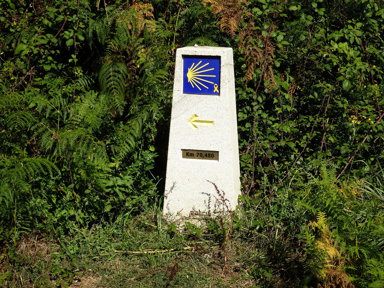 ¿Cómo afrontar el desafío del Camino de Santiago?