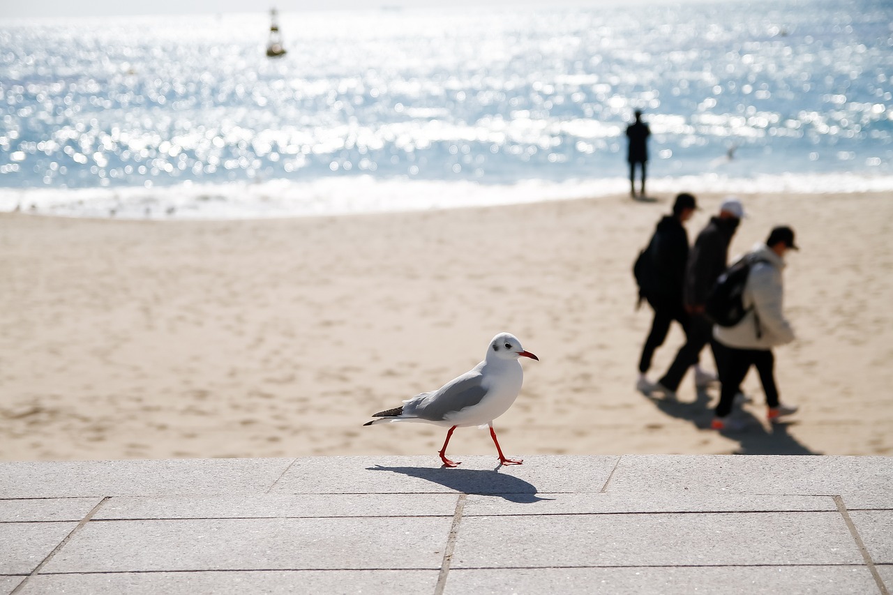 Descubre el precio del viaje en bus de Barcelona a Tossa de Mar