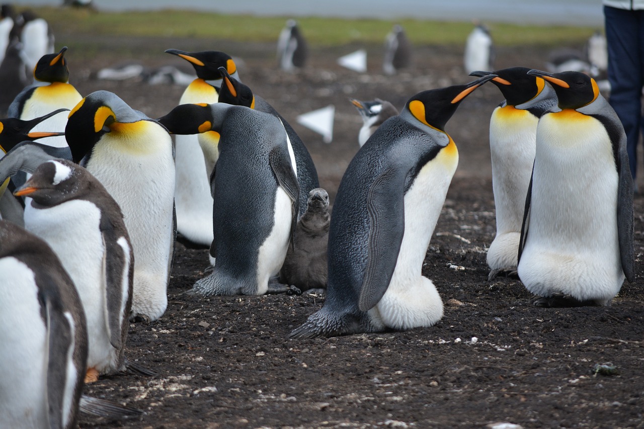 Descubre las Mejores Islas para Visitar cerca de Nápoles