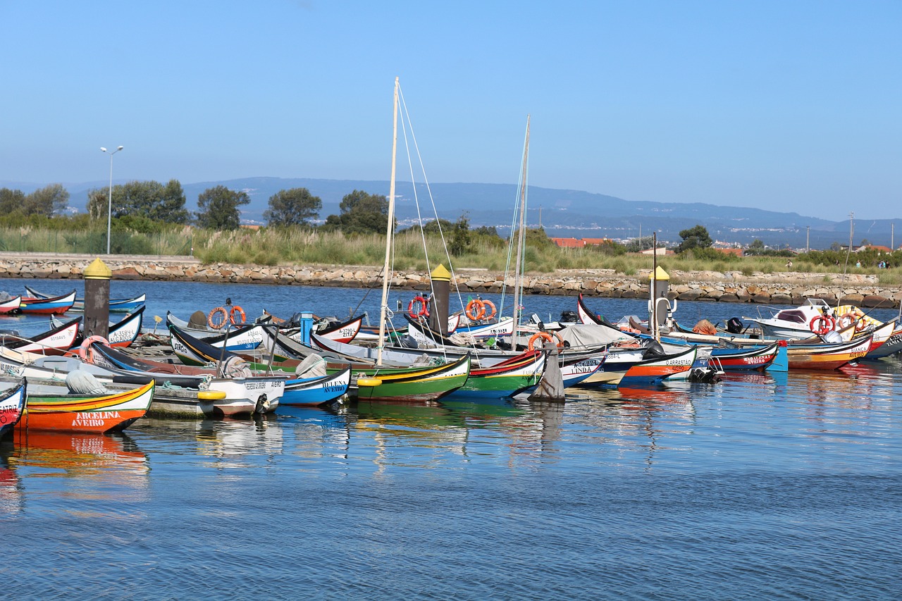 Aveiro: ¡Descubre lo que puedes visitar en un día!