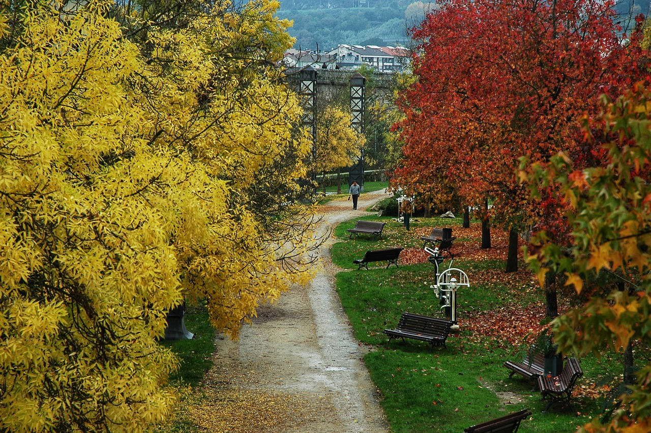 Descubriendo Ourense: ¡No te pierdas esta ciudad gallega!