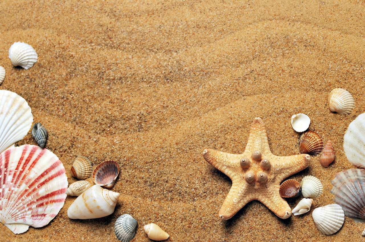 Descubre la Playa Más Linda de Cerdeña