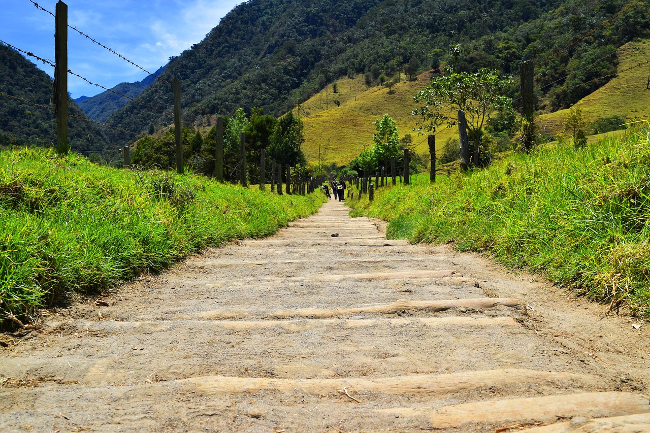 Descubre el precio de la entrada al Valle de Cocora