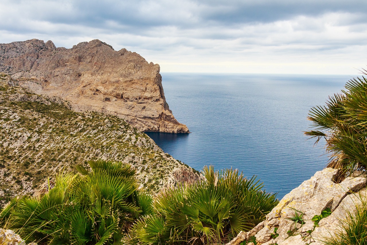 Accediendo a la Playa de Formentor: Una Guía Paso a Paso