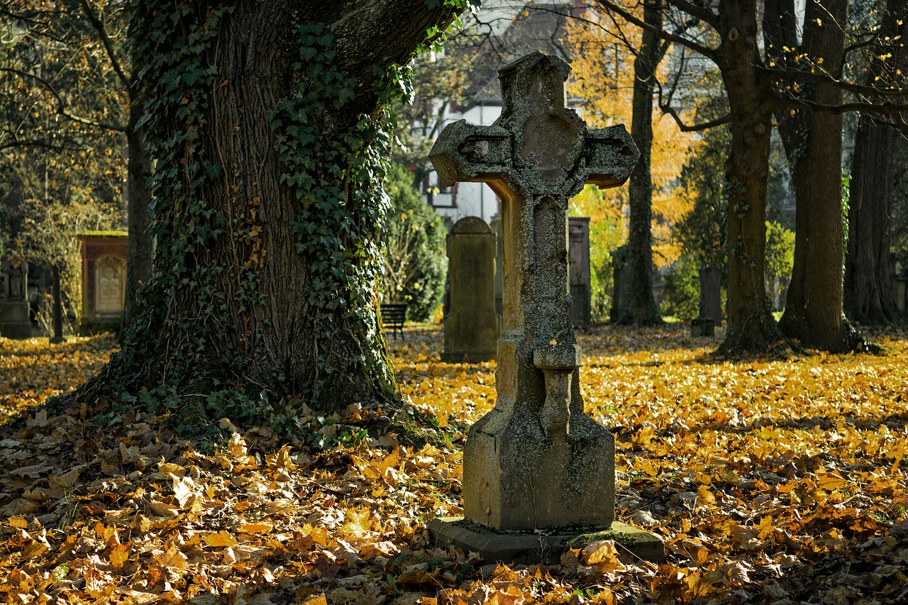 Cómo cruzar de Oporto a Gaia: Una guía paso a paso