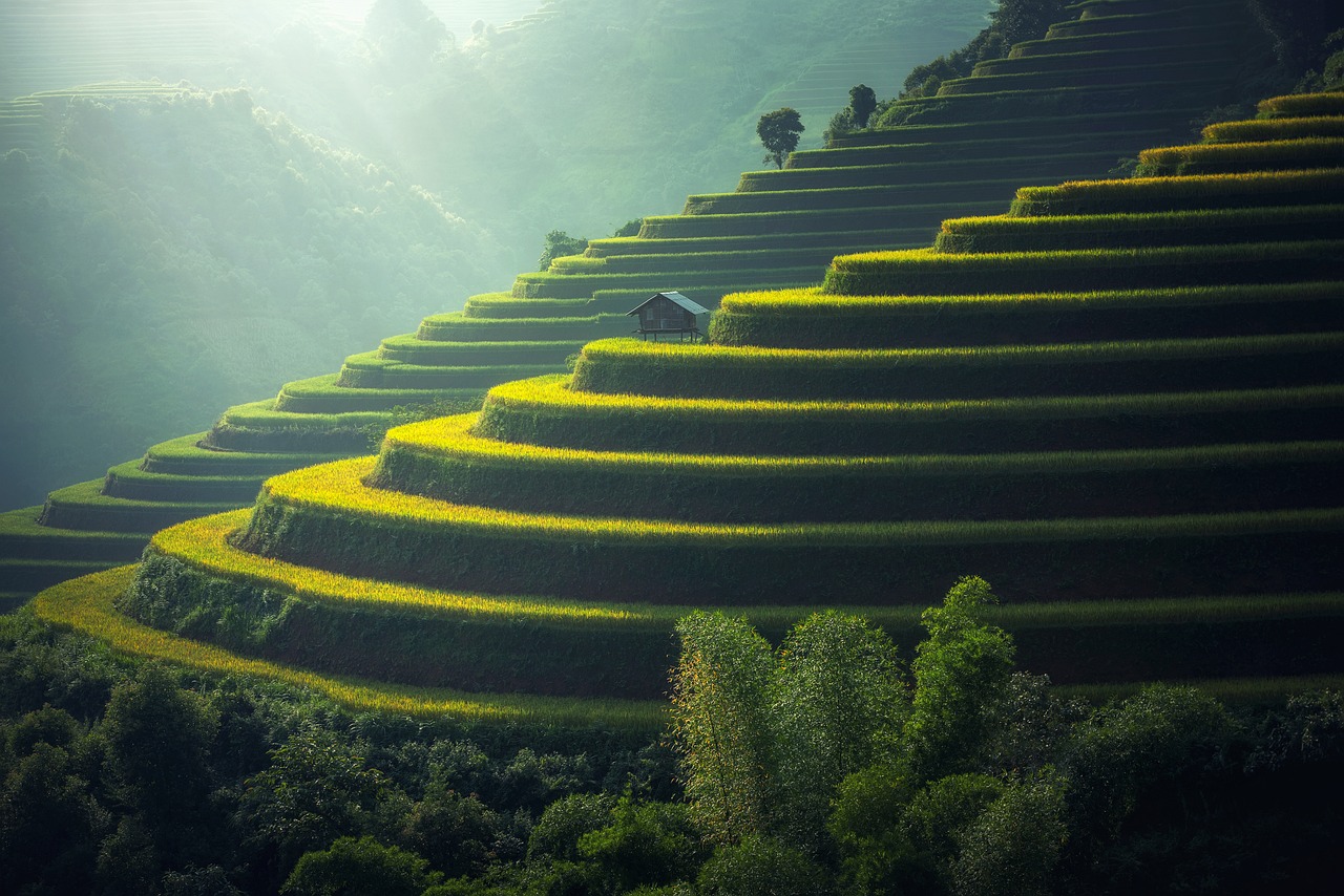 ¡Descubre cuál es la mejor comida de Tailandia!