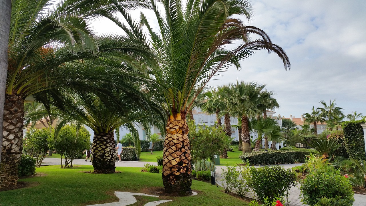 Descubre la terraza del hotel Riu: ¿en qué piso se encuentra?