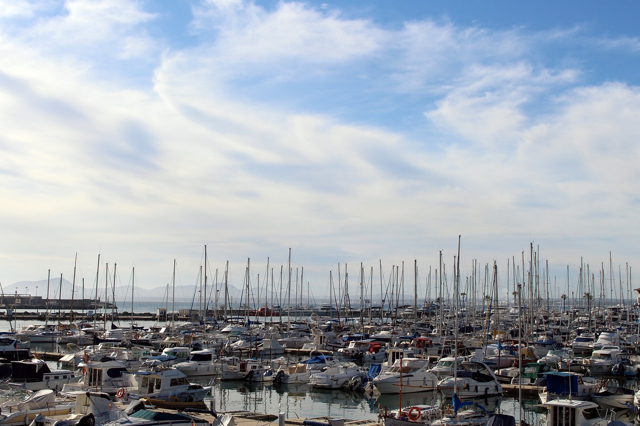 Descubriendo L Alcudia: ¿Qué ver y hacer en esta ciudad?”