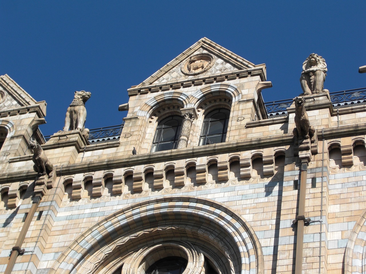 ¿Cuál es el Costo de Entrada al Museo de Historia Natural de Londres?