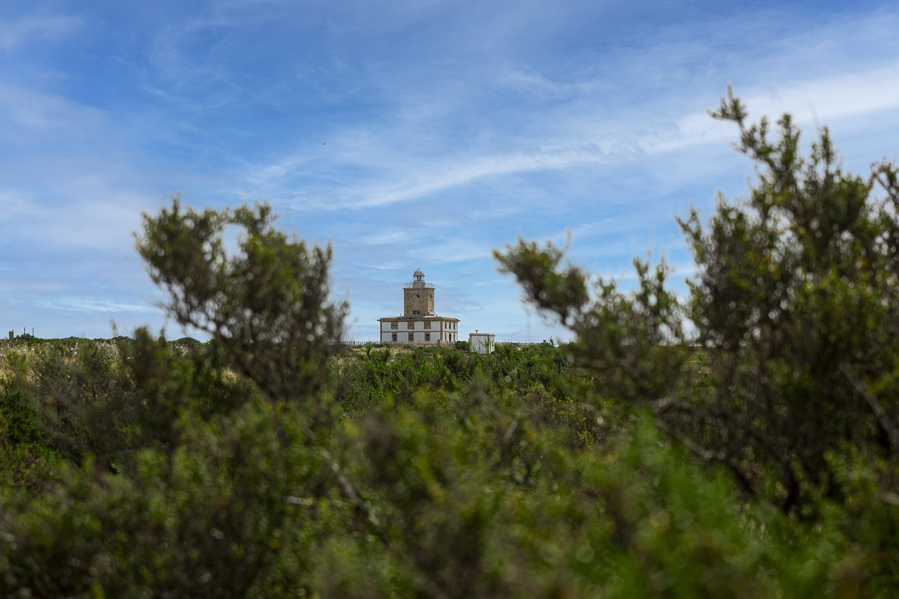 Descubre Cuánto Se Tarda en Visitar Tabarca