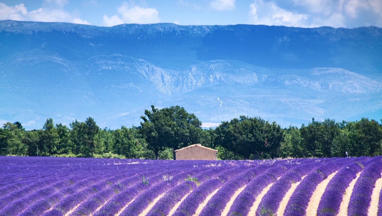 Explorando la encantadora Provenza: ¿Qué hay para hacer?