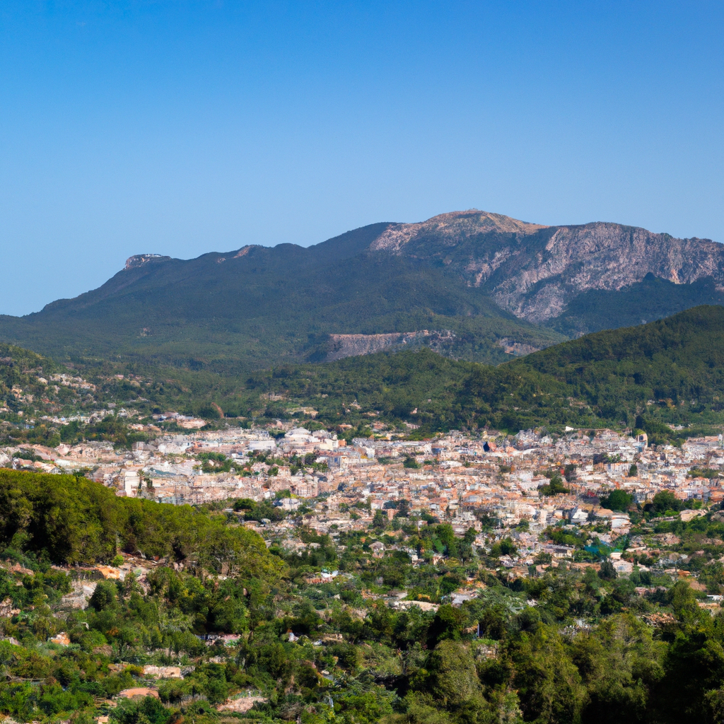 Descubriendo el significado de Pollensa en el idioma mallorquín