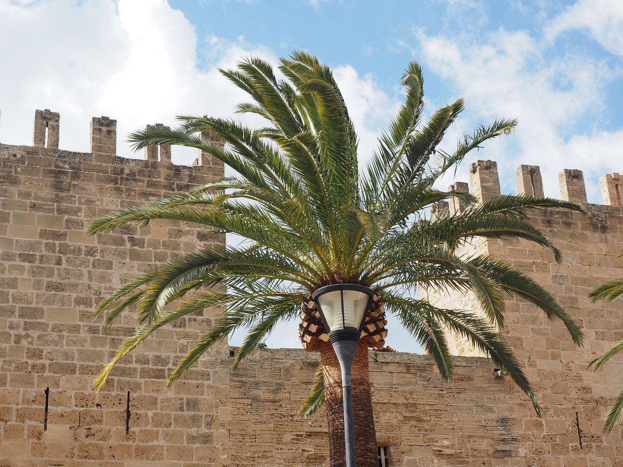 Descubriendo la antigüedad de la Muralla de Alcudia