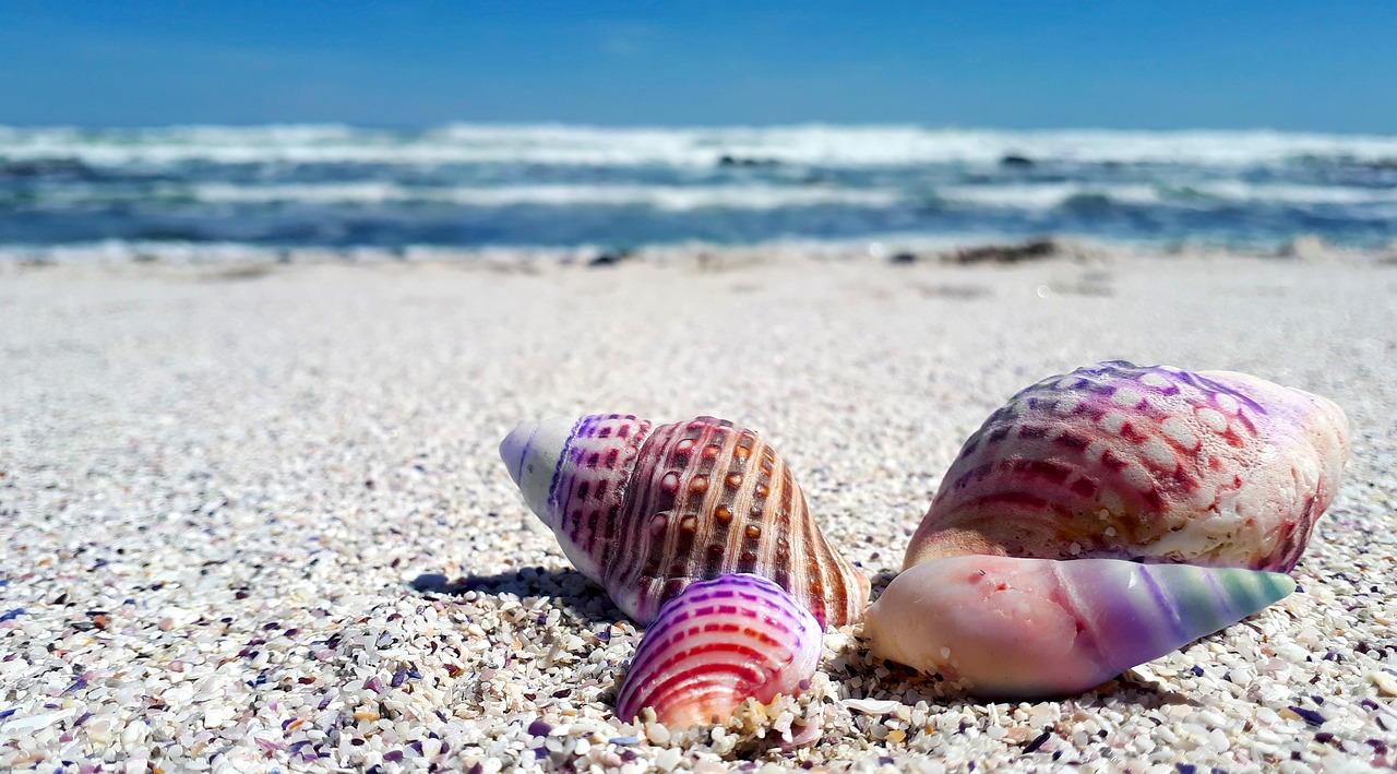 Conociendo los mariscos de Asturias